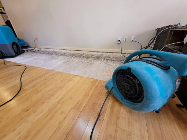 Professional Water Extraction technician working in Brookline, MO